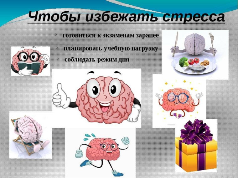 «Экзамены: как избежать стресса?».
